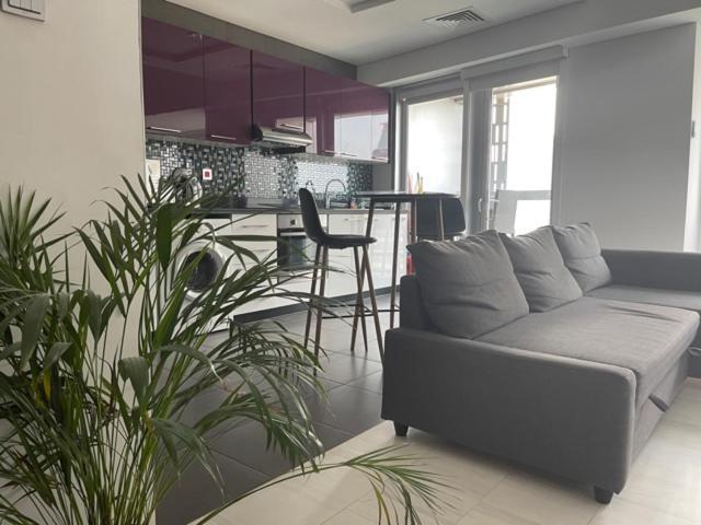 Cayan Tower Luxury Apartment With Sea View Dubai Buitenkant foto